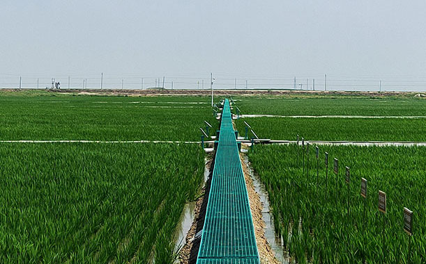 正確使用全自動貼標機的六大操作步驟